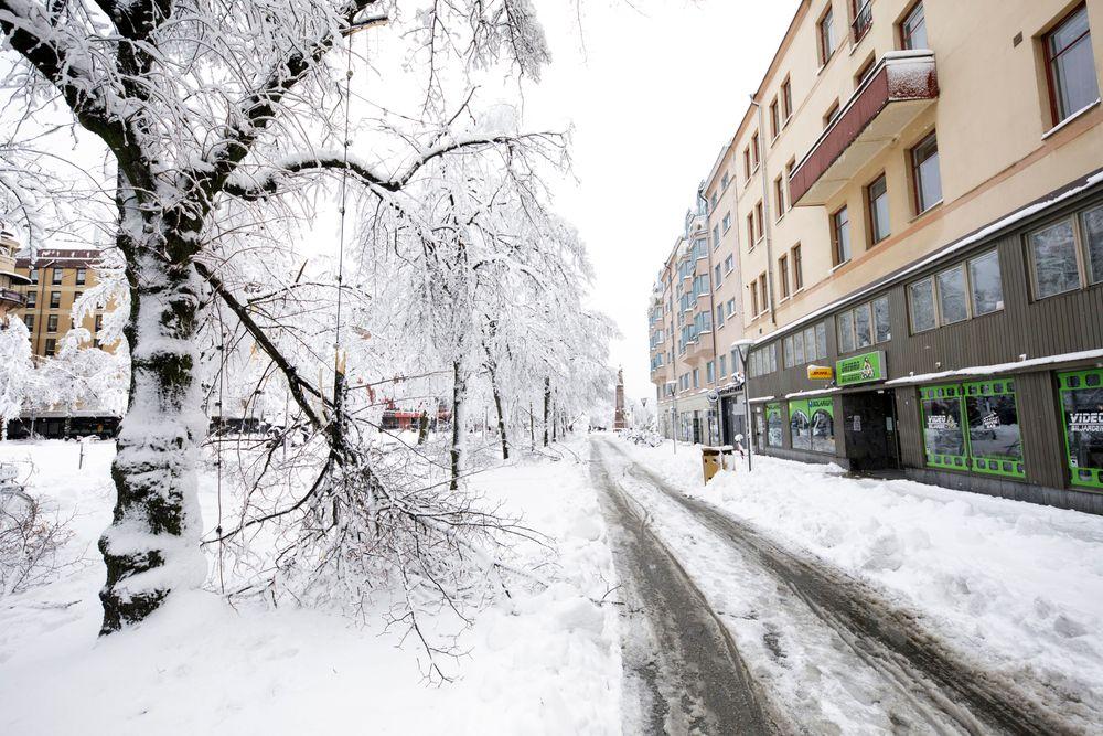 تحذيرات من تساقط الثلوج في عدد من مناطق السويد