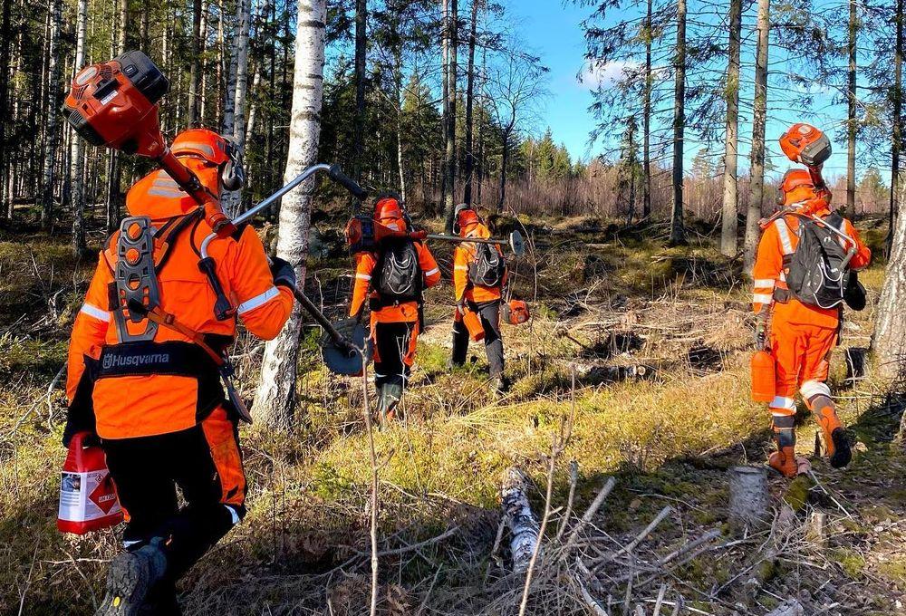أرباب العمل في السويد سيرفعون من الأجور للحفاظ على العمالة المهاجرة
