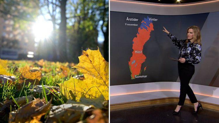 الأرصاد الجوية: أيام صيفية طويلة جداً في هذا الجزء من السويد
