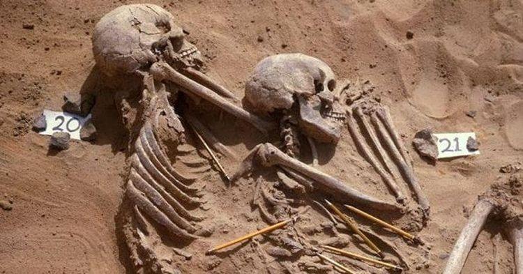 أهم 7 اكتشافات تاريخية في العالم.. بينها جمجمة غيرت تاريخ البشرية