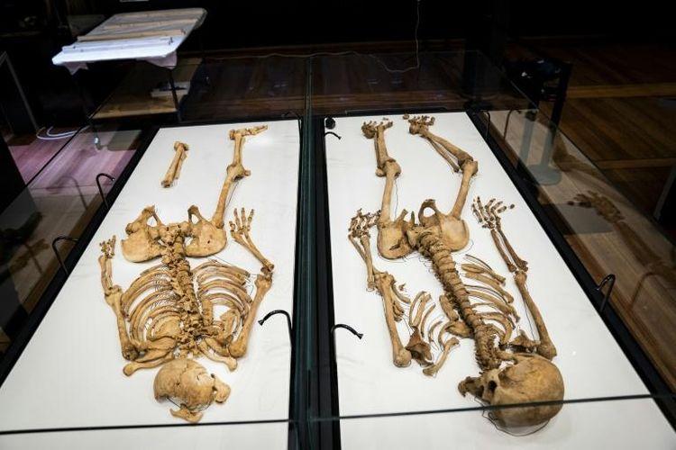 لم شمل بعد ألف عام.. محاربا فايكينغ من العائلة نفسها يجتمعان في متحف بالدنمارك
