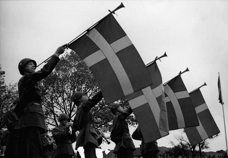 السادس من يونيو.. الرحلة التاريخية لـيوم العلم السويدي

