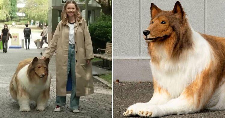 ياباني ينفق أموالاً طائلة ليشتري بدلة تجعله في هيئة كلب.. ما القصة؟
